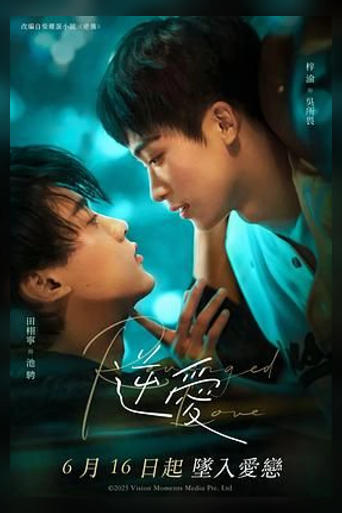 Reframed Love · 逆愛海报